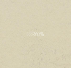 Линолеум Forbo Marmoleum Decibel on Order 370135 moon фото 1 | FLOORDEALER